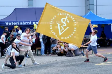 Brněnský Majáles 2025