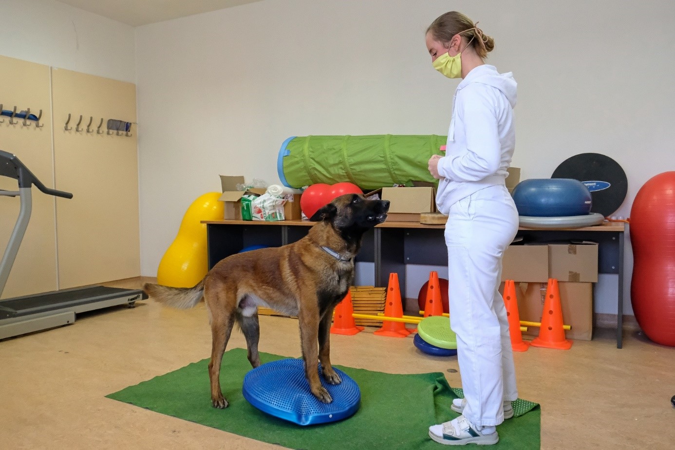 Dog and Cat Clinic activities